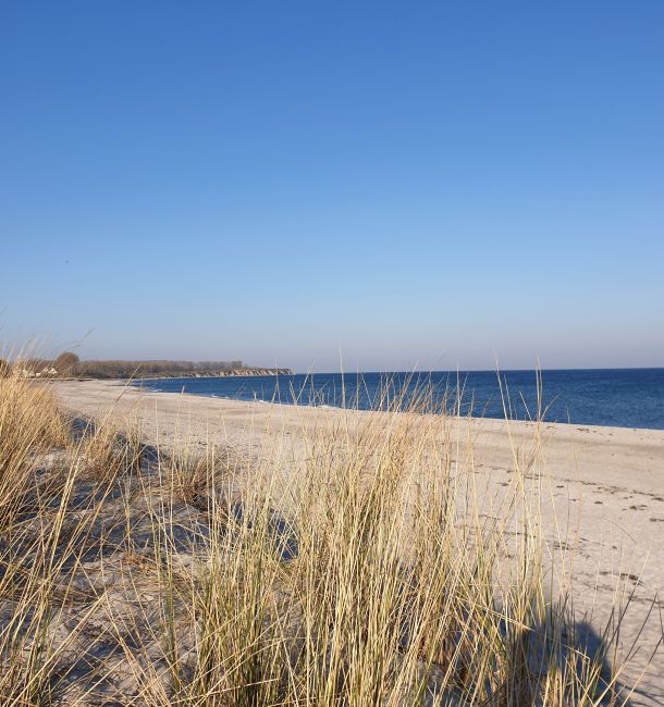 Rerik Ostsee Sandstrand