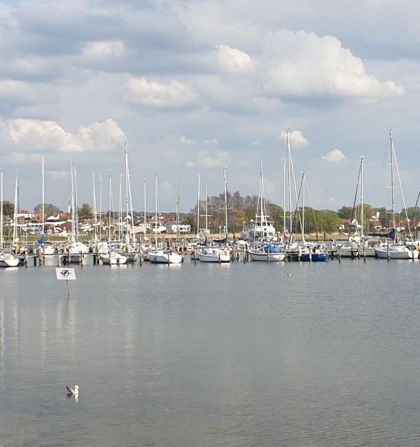 Rerik Ostsee Salzhaff Hafen